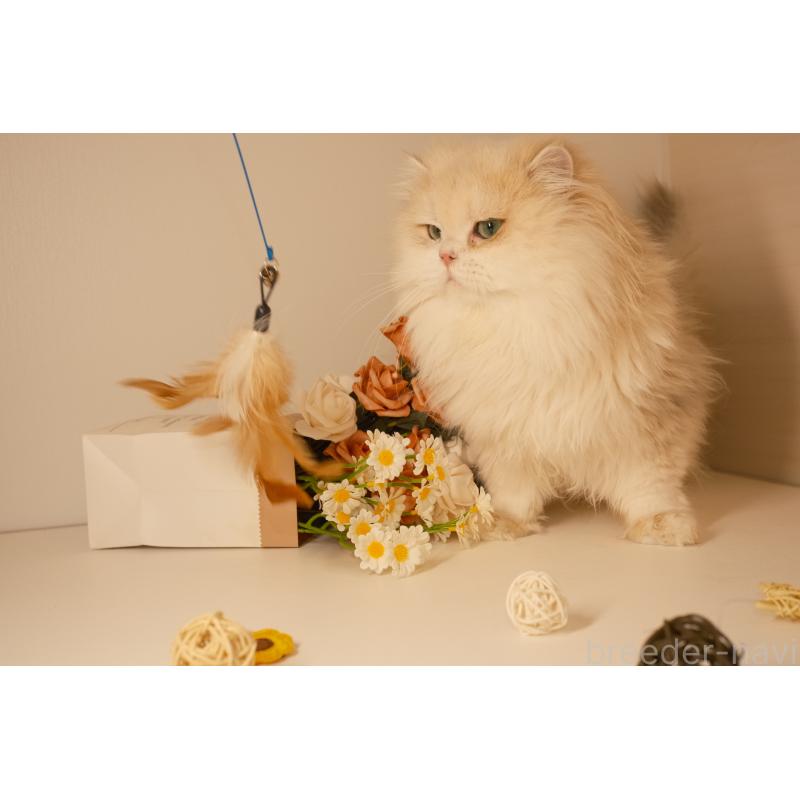 ミルクくん1枚目