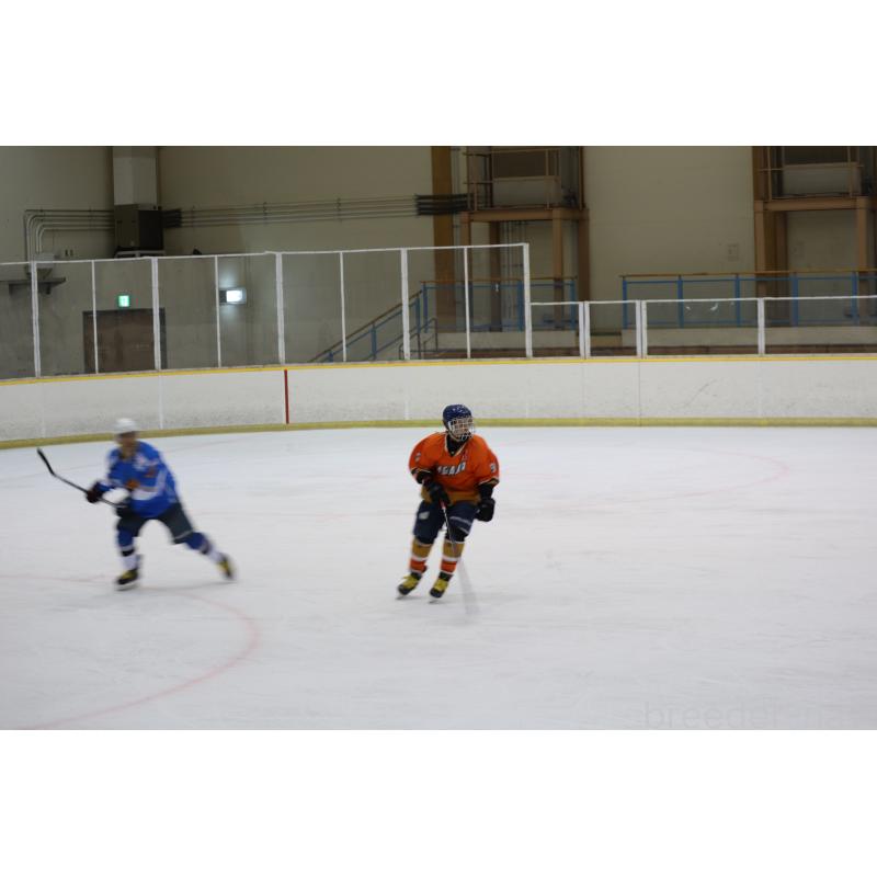 販売中の長野県のトイボブ-127916の11枚目