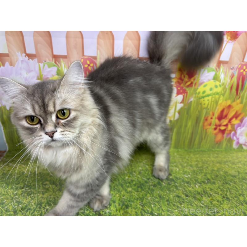 ひめちゃん1枚目