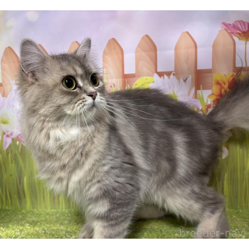 ひめちゃん1枚目