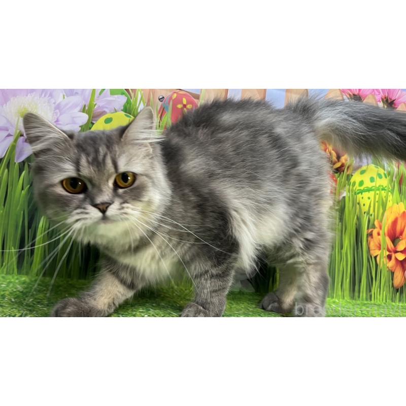 あきちゃん1枚目