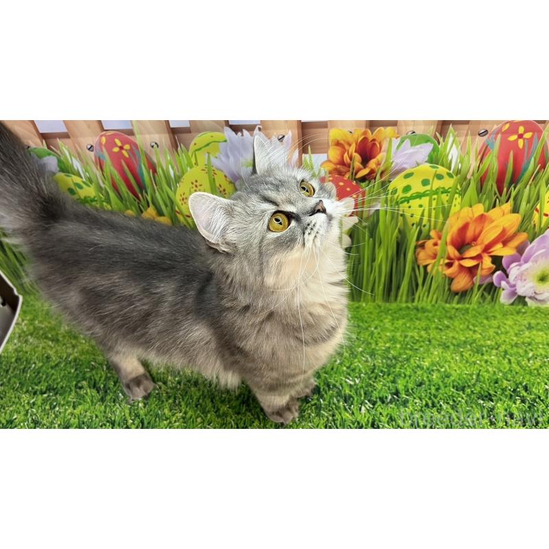 あきちゃん1枚目