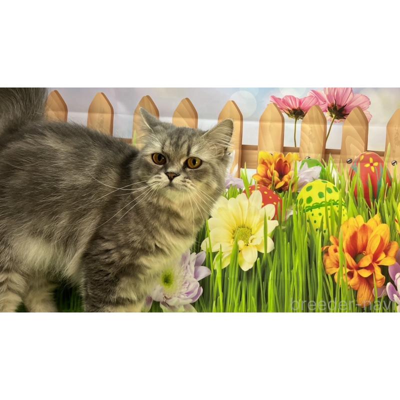 あきちゃん1枚目