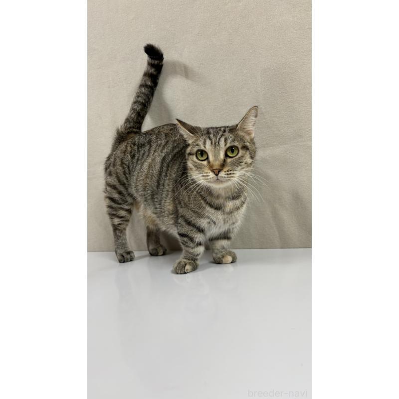 エマちゃん1枚目