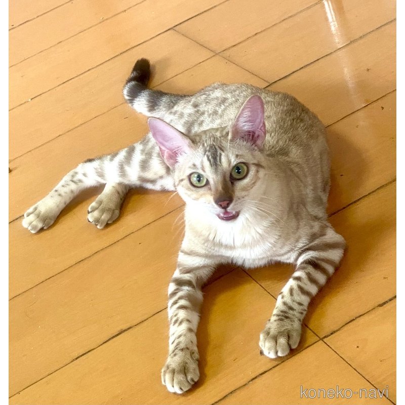 ビアンカちゃん1枚目