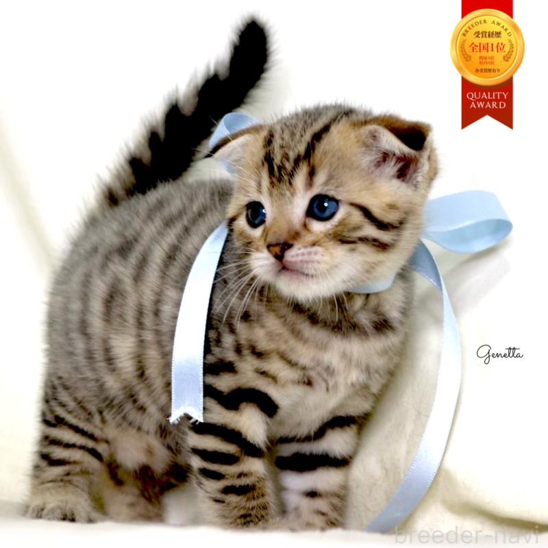 販売中の栃木県のジェネッタ-134174の1枚目