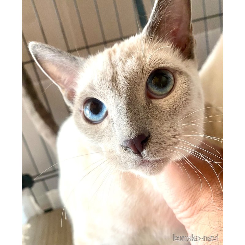 ライスくん1枚目