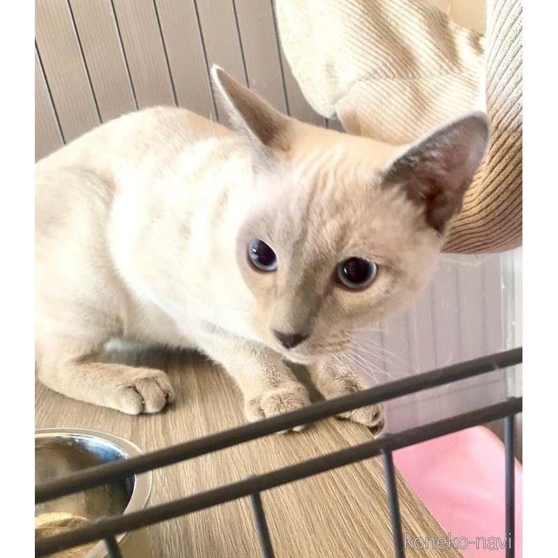 ライスくん1枚目