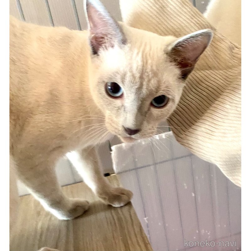 ライスくん1枚目