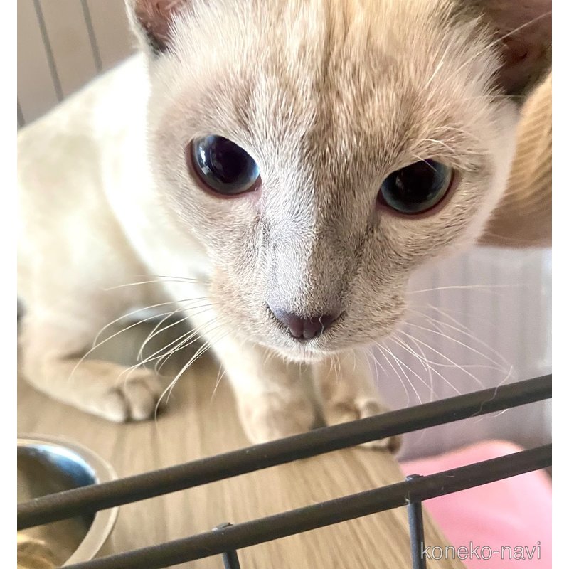 ライスくん1枚目