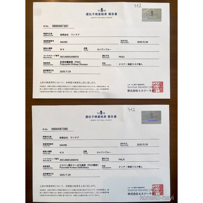 ライスくん1枚目