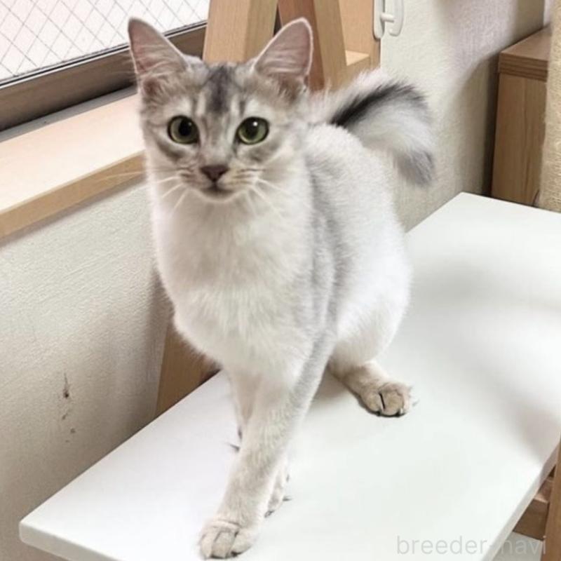 テイラーちゃん1枚目