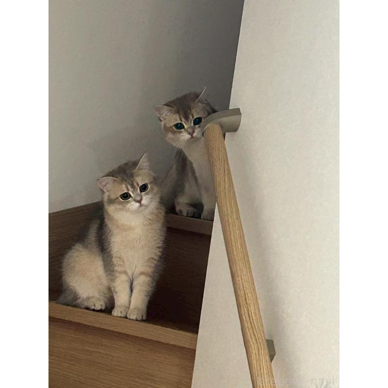 丸丸君くん1枚目