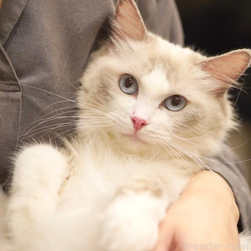 おこめちゃん1枚目