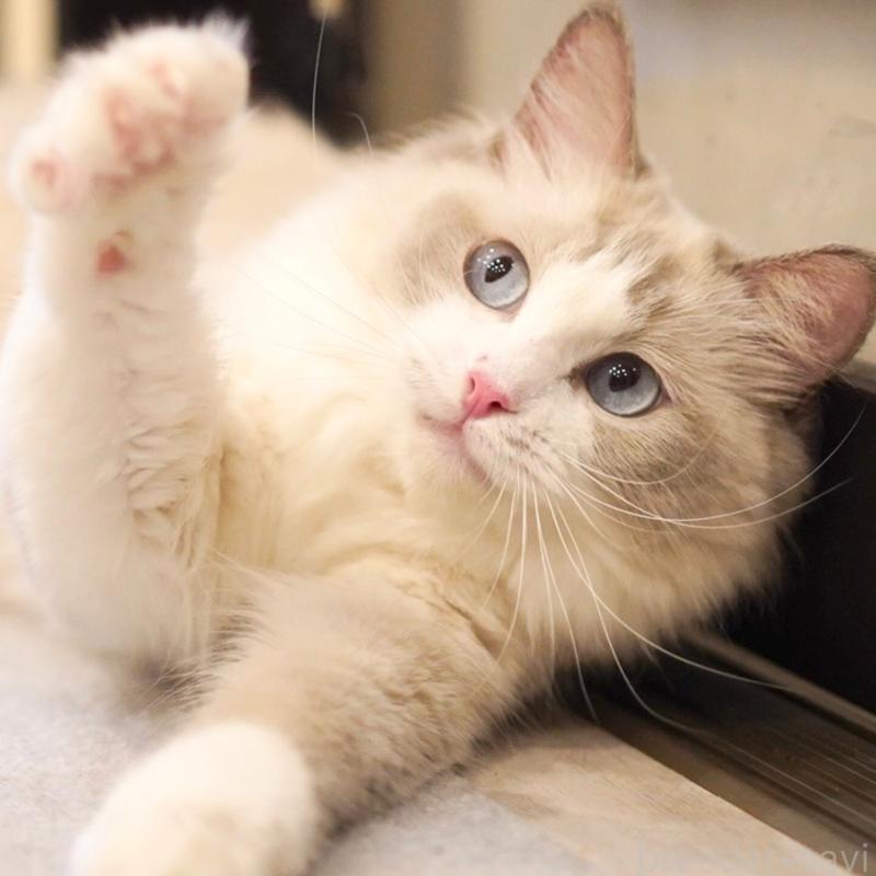 おこめちゃん1枚目