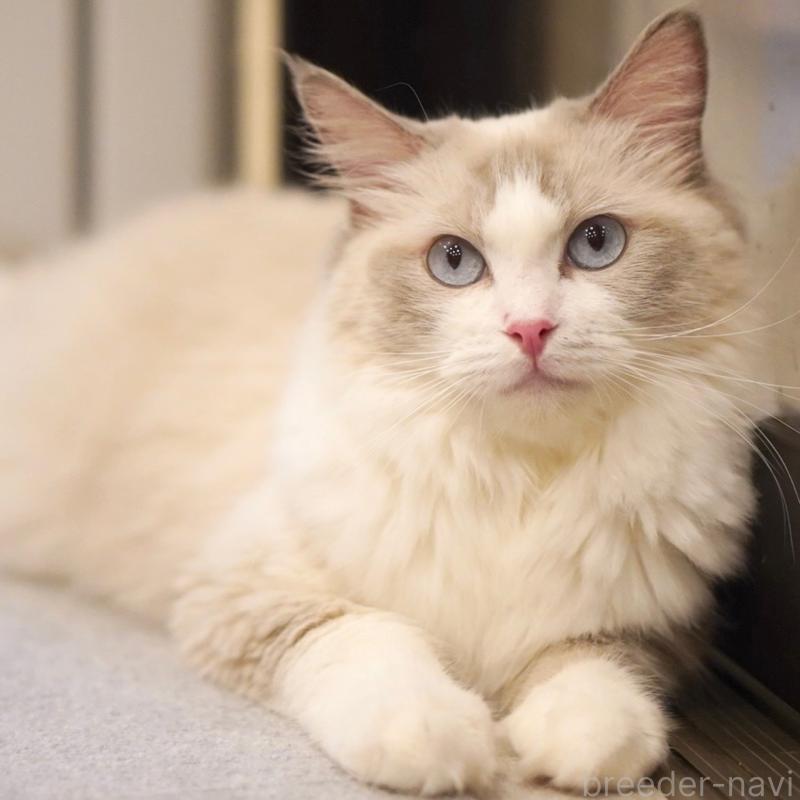 おこめちゃん1枚目