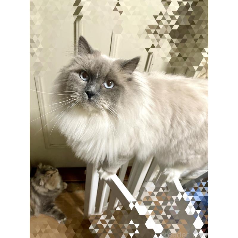 サラちゃん1枚目