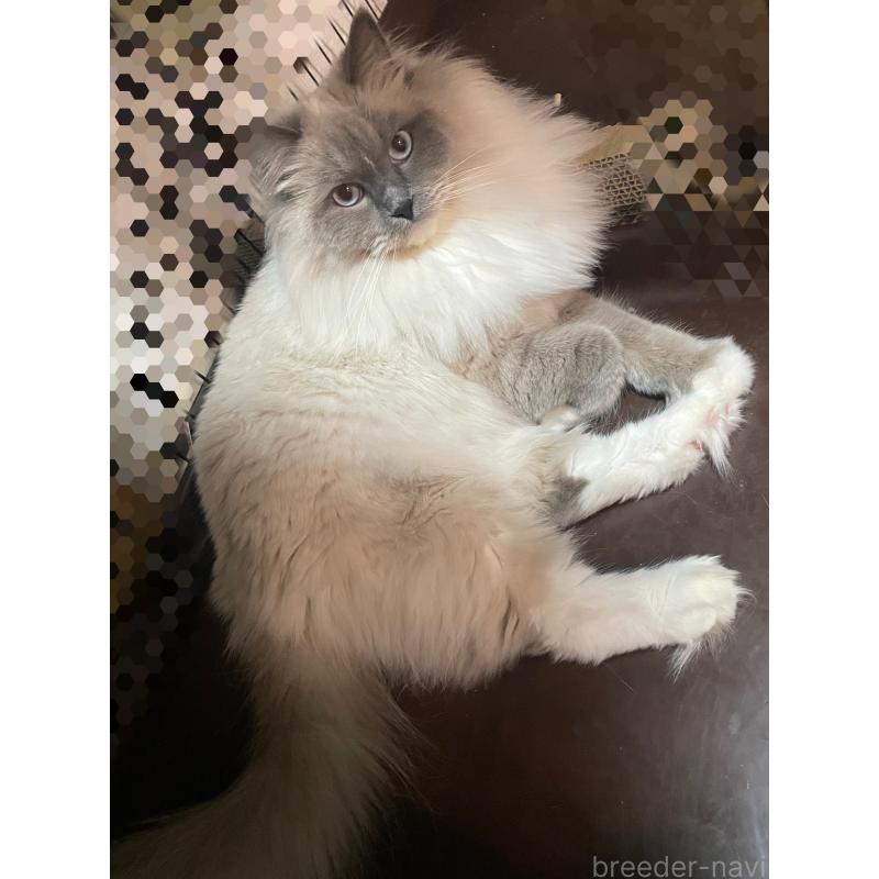 サラちゃん1枚目