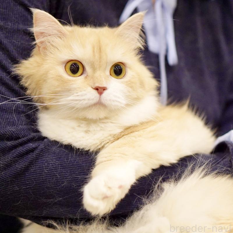 ゆべしちゃん1枚目