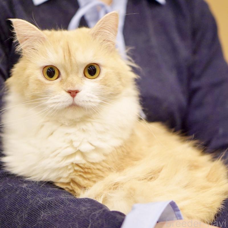 ゆべしちゃん1枚目