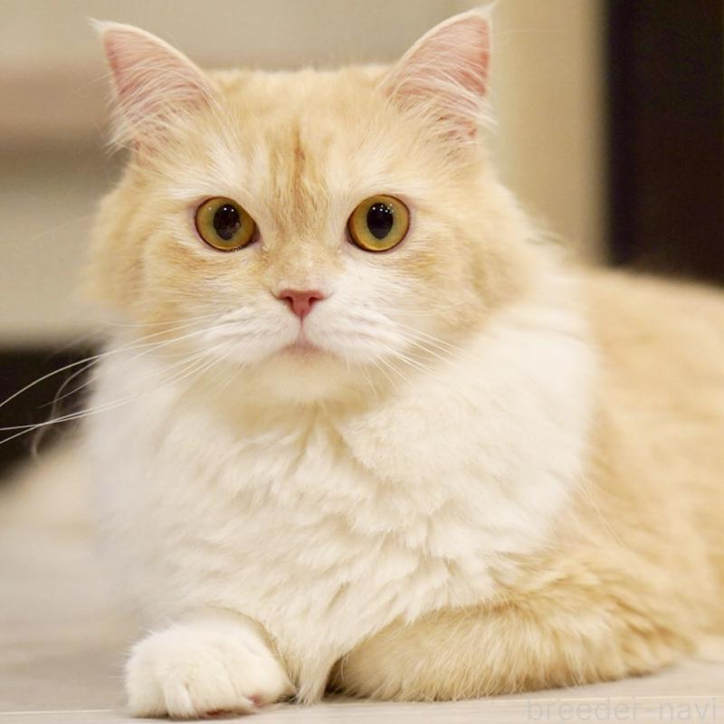 ゆべしちゃん1枚目