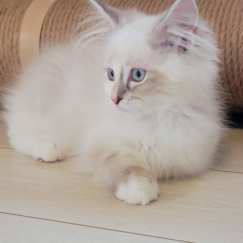 ルチアちゃん1枚目