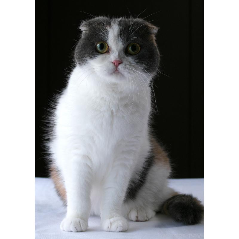 メルちゃん1枚目