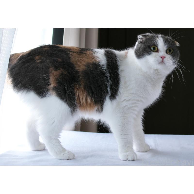 メルちゃん1枚目