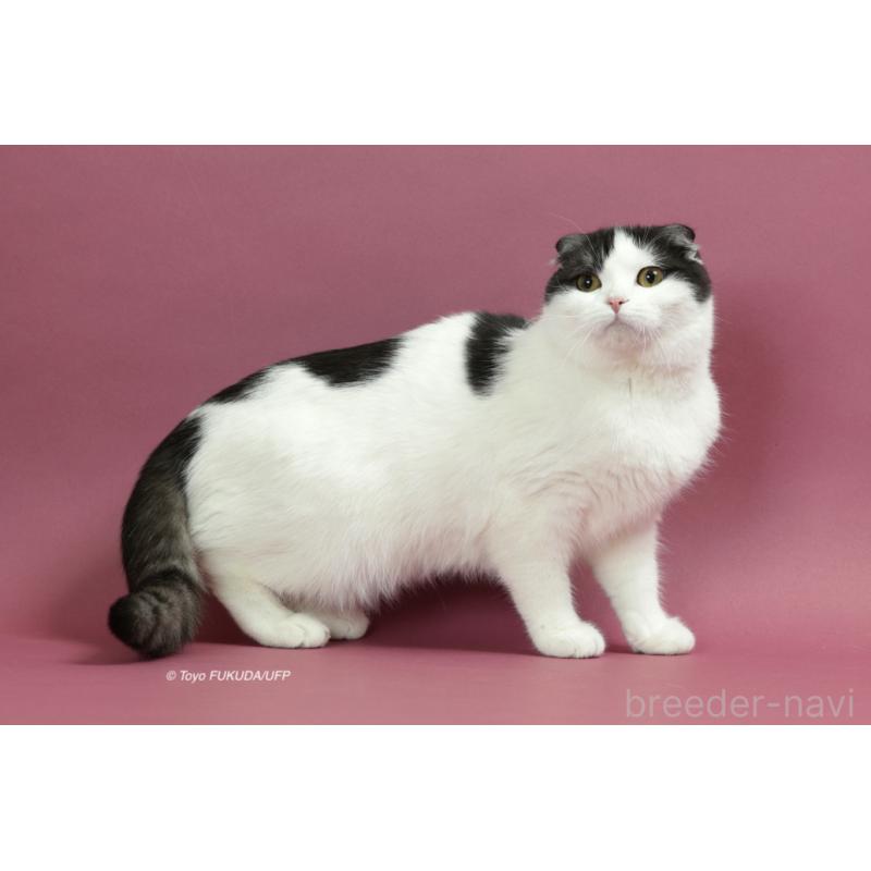 ナナオちゃん1枚目