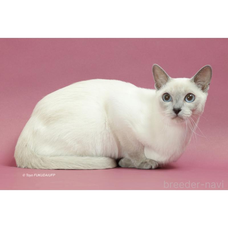 レイチェルちゃん1枚目