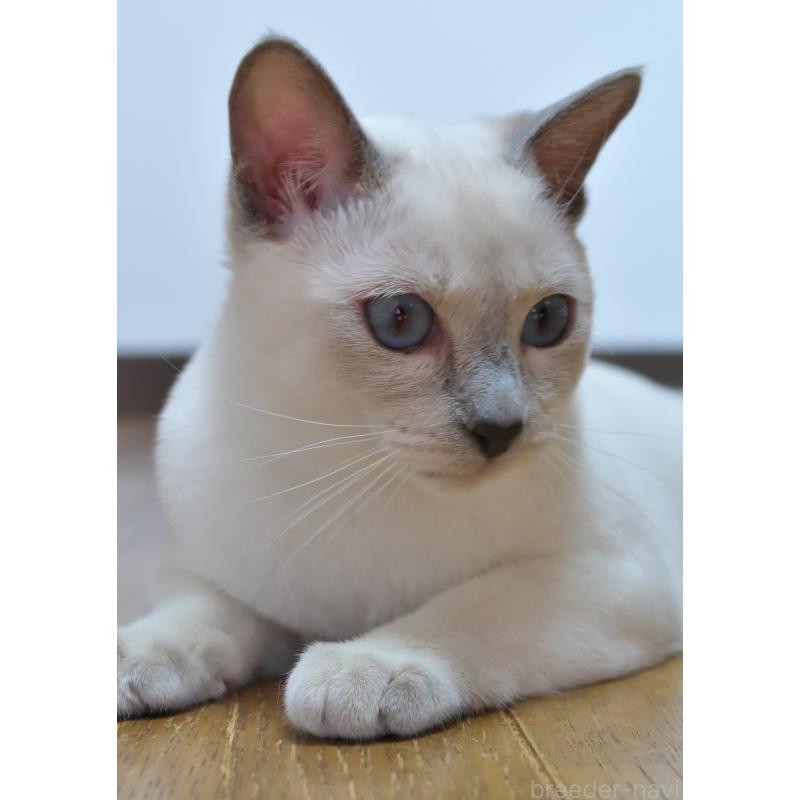 レイチェルちゃん1枚目