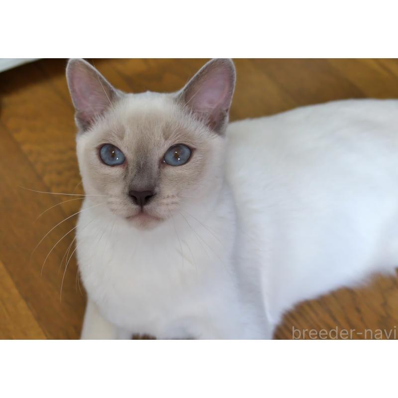 レイチェルちゃん1枚目