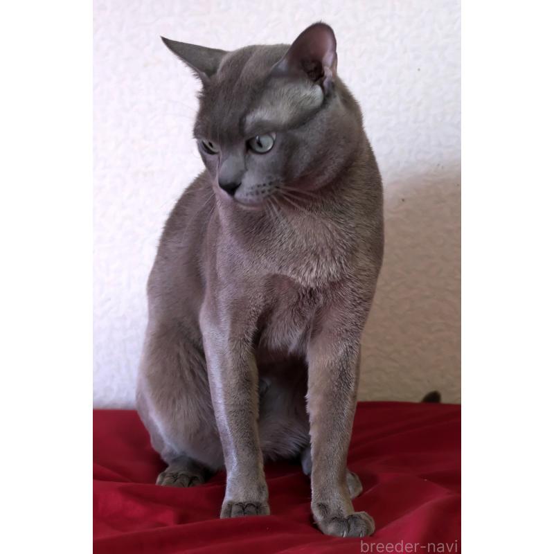 リッキーくん1枚目