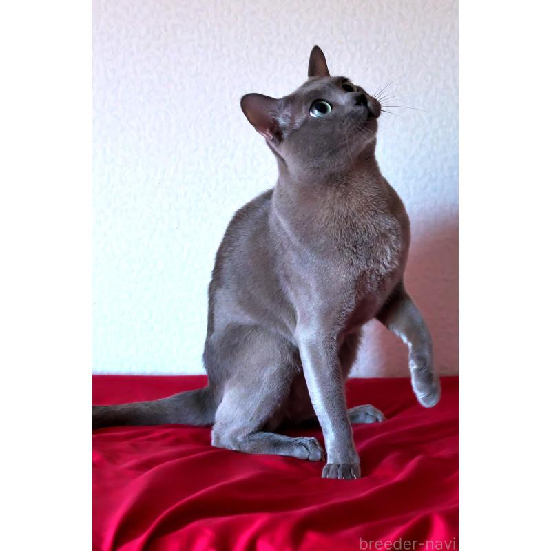 リッキーくん1枚目