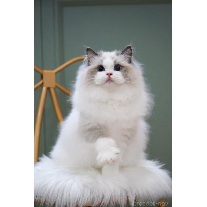 モナちゃんちゃん1枚目