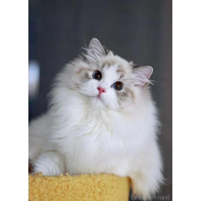 ソラくんくん1枚目