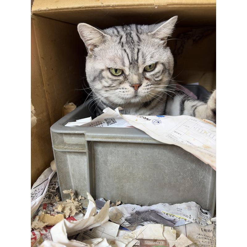 とうるくん1枚目