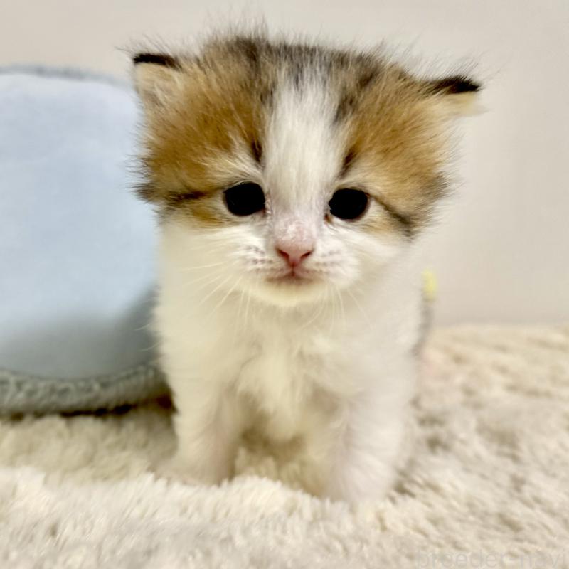 あおさちゃん1枚目