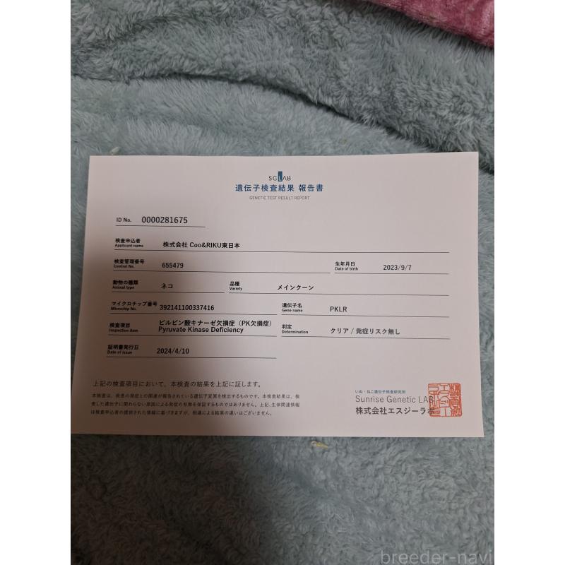 竜竜ちゃんくん1枚目