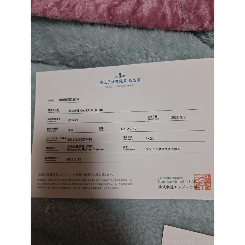 竜竜ちゃんくん1枚目