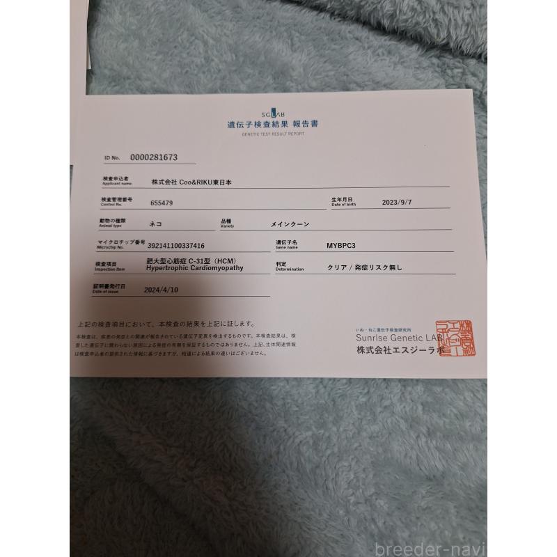 竜竜ちゃんくん1枚目