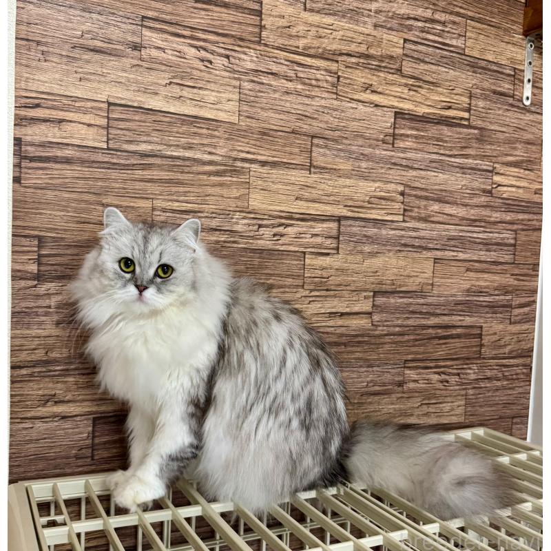 ムーンちゃん1枚目