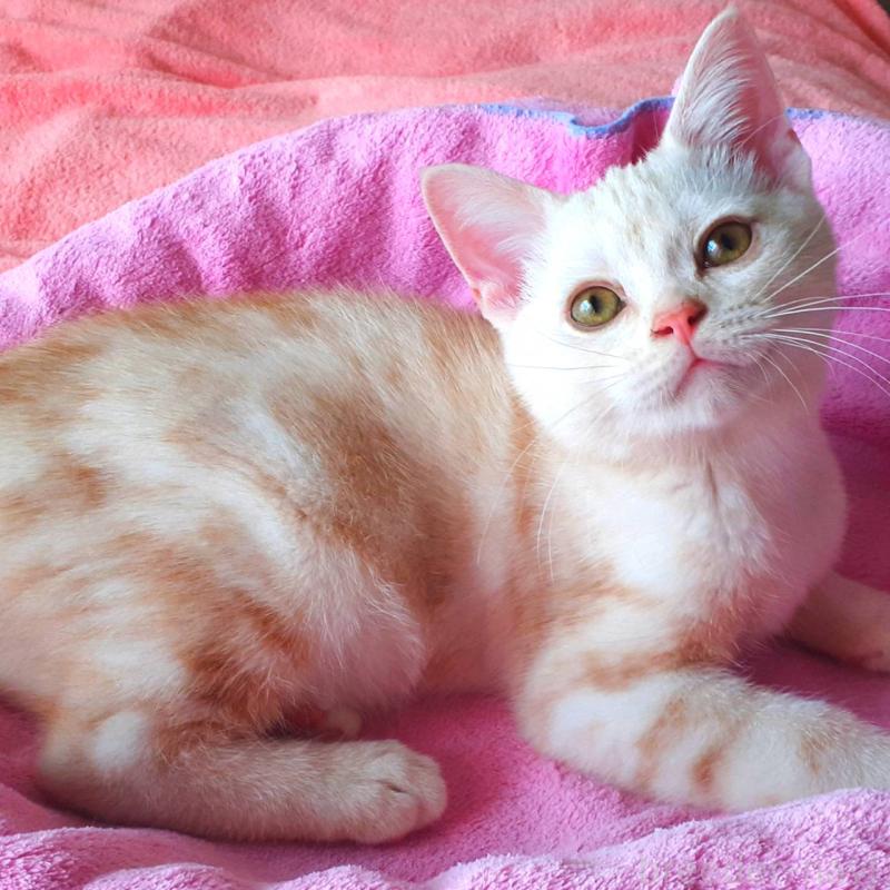 ミラディアくん1枚目