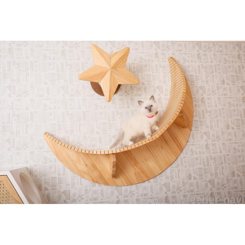 成約済の群馬県のバーマン-136470の3枚目