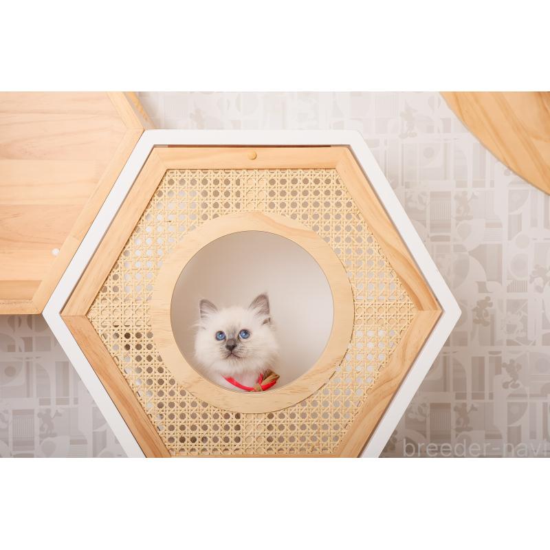 成約済の群馬県のバーマン-136470の2枚目