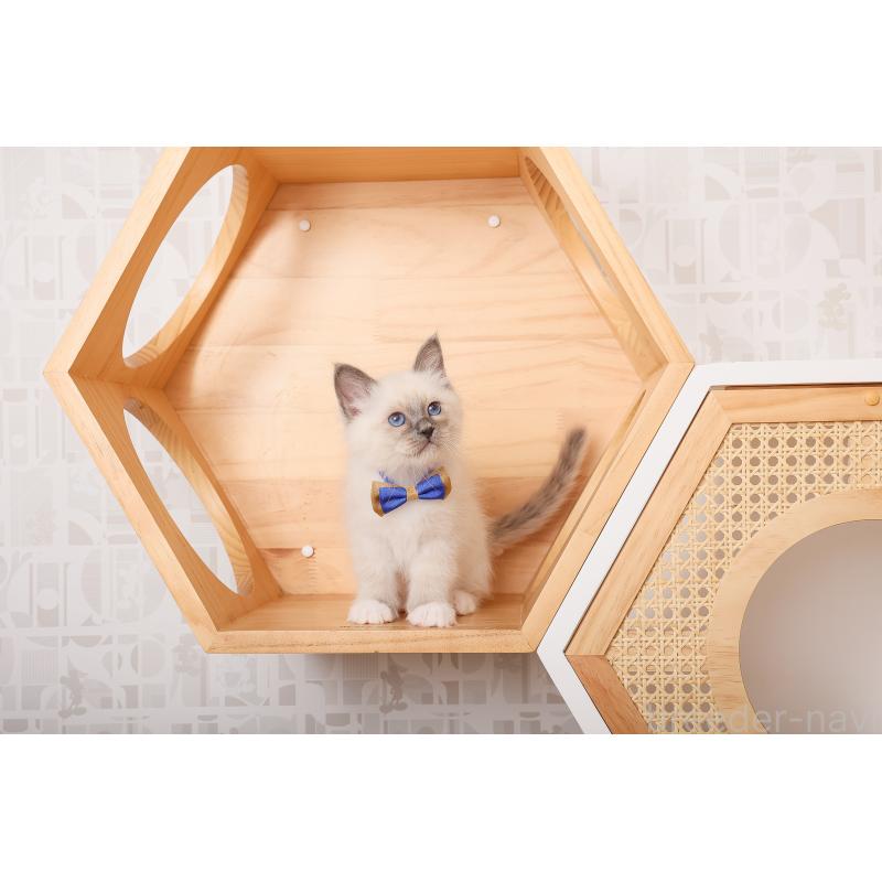 成約済の群馬県のバーマン-136472の2枚目