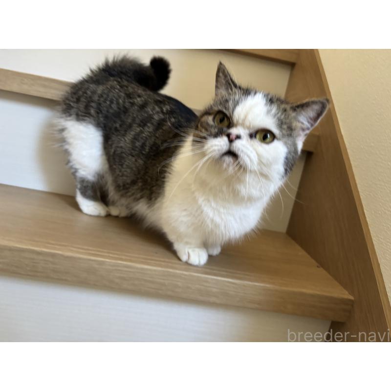 もみじちゃん1枚目