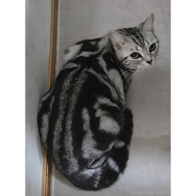 ドレミちゃん1枚目