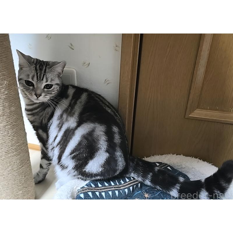 ドレミちゃん1枚目