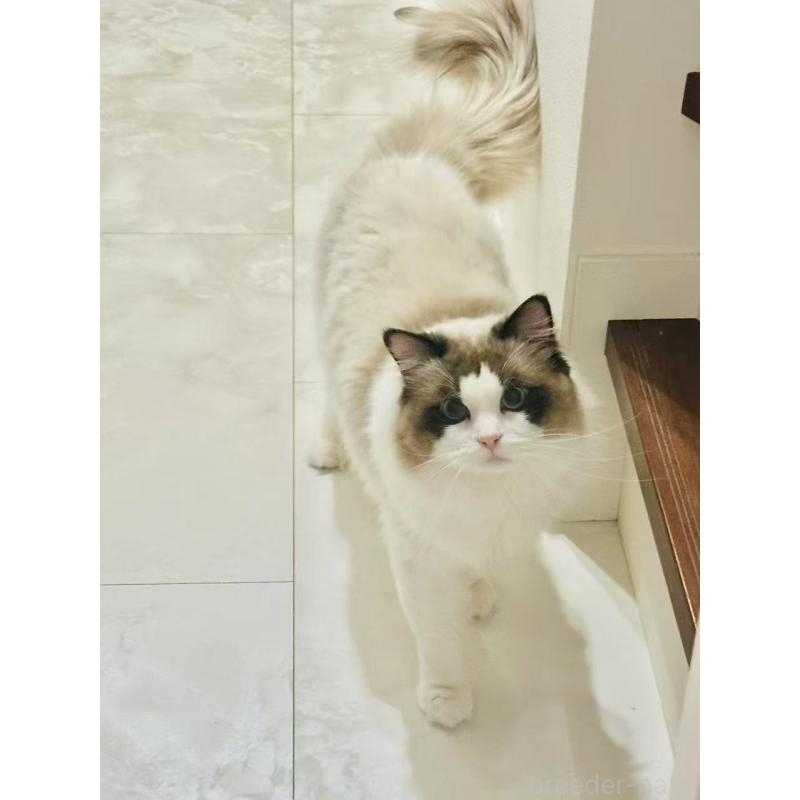 げんくんくん1枚目